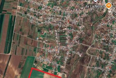 21,66 Ha Teren Compact – Pechea (Galați) – Potențial Energetic & Agricol - 4
