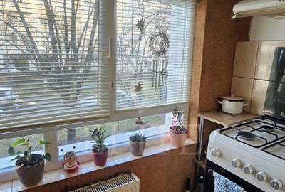 Apartament 2 camere în zona INTRE LACURI - 10
