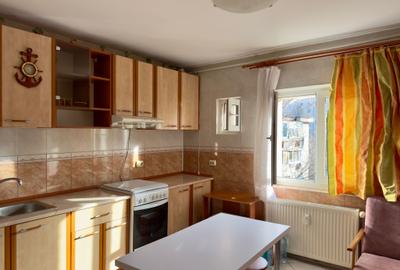 Inchiriere apartament Piata Alba Iulia - 11