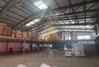STEFANEȘTII DE JOS |  PARC INDUSTRIAL | POZIȚIONARE STRATEGICĂ - A3 -A0-DNCB - 6