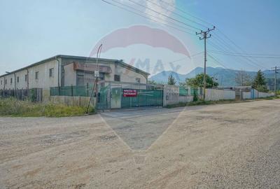 0 Comision | Spatiu industrial | Hala | Brasov - 7