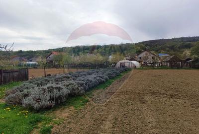 Casă de vânzare în Gârdani - 17