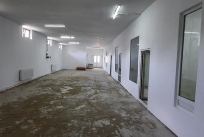 Hale din beton cu suprafata mare zona Cornisa - 1