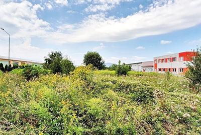 Teren in zona comerciala, 7100mp pe Calea Feldioarei (DN13) - 10