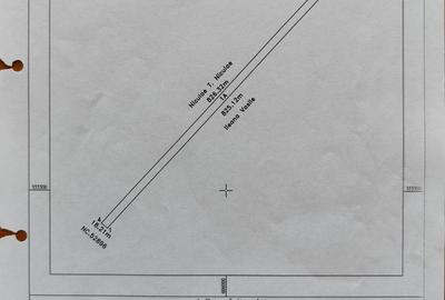 Cel mai bun pret! 1.5 ha, lot teren localitatea Nuci, Ilfov - 6