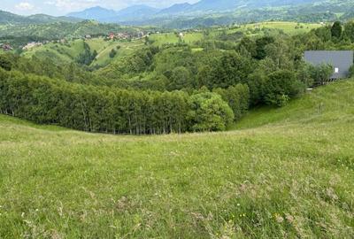 Teren inconjurat de natura de vanzare in Pestera - 11