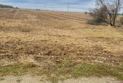 MAGURELE iF LOCALITATEA PRUNI ,LOTURI DE VANZARE - 1