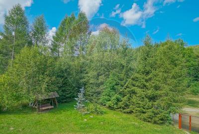 Pensiune Raw Nature, Vama Buzăului - 44