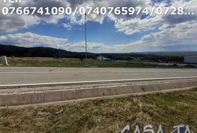 Teren Intravilan(3000mp), Novaci - Ranca - 8