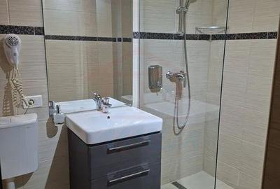 Inchiriere apartament 1 camera, Mazepa 2 - 5