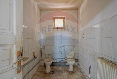 0 Comision | Spatiu industrial | Hala | Brasov - 22