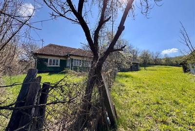 Casa traditionala,zona pitoreasca,domeniu de 3.400 mp,Suveica,Acatari,Mures - 15
