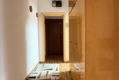 Dacia, Guliver, stradal - 9