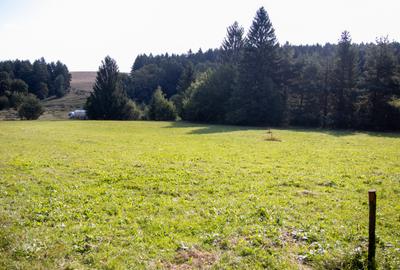 Teren intravilan 6800 mp, zona Lacuri Vulcan, Brașov - 7