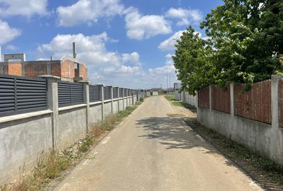 Domnești, Str Teiului, teren 1500mp, 40ml deschidere, utilități. - 4