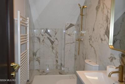 Calinesti - Gorganu, casa cu 2 intrari, teren 2496 mp! - 17