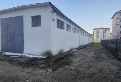 Hala in Sibiu loc Avrig Marsa - 1