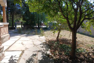 Casa cu teren mare in Bolintin Deal - 7