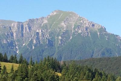 Teren investiție, 12750 mp în Pârâul Rece