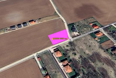 Teren Construcții intravilan de 1600 mp, în Ciofliceni