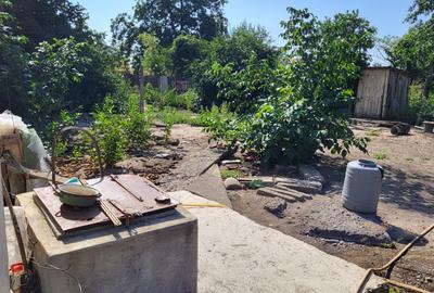 Casă de vânzare în mediul rural – liniște, natură și confort - 6