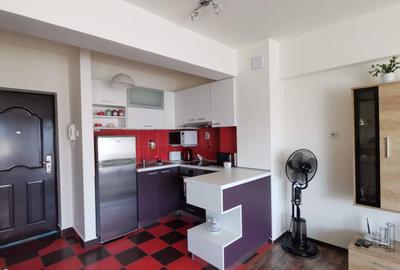 Apartament 1 camera Tabacarilor, finisat, mobilat, utilat, inchiriat - 4