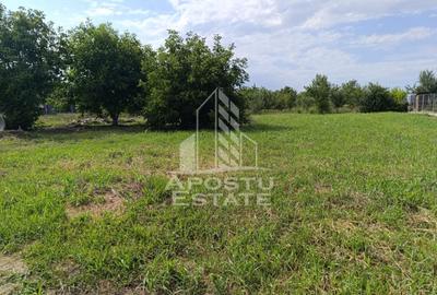 Teren Construcții intravilan de 683 mp, în Giarmata-Vii