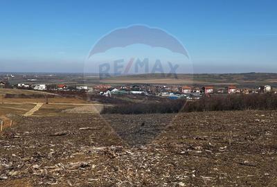 Teren de vânzare – Paleu, județul Bihor | 3 parcele a câte 618 mp - 8