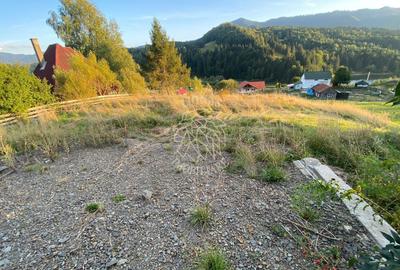Teren Intravilan 1000mp-panorama-oportunitate investitie-Colibita - 5