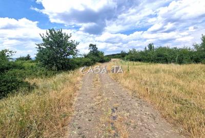 Teren Extravilan (11.464 mp),situat in Targu-Jiu, Str Ciresului - 3