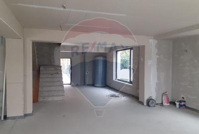 Vila D+P+E+M, 8 camere, 520 mp, Mogosoaia/Ilfov - 8