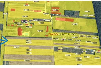 Vanzare 5000 mp teren intravilan, acces din DN1 (26 mp) - Tîncăbești, Snagov - 2
