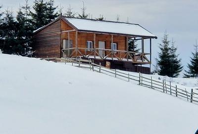 Cabană montană cu panoramă Bucegi & Piatra Craiului – Fundata - 1