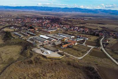 Ansamblu agrozootehnic cu renume,dotat +valoare exceptionala+potential versatil, - 41