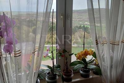EXCLUSIVITATE. Zona Transylvania College, Iulius Mall. - 3