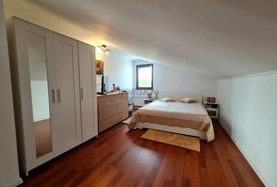 Vila + Afacere 15.000mp Clinceni - 19