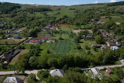 Teren de vanzare -Parava - DRAGUSANI - 3