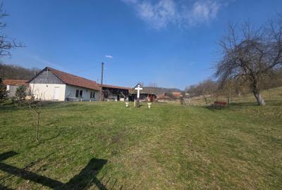 Vand casa loc.Fintoag Hunedoara - 4
