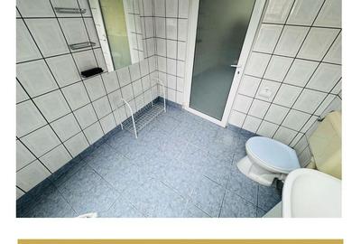 De inchiriat cladire comerciala potential P+M Gradiste Arad - 19