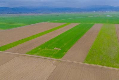 Comision 0%, teren extravilan Prejmer - 5