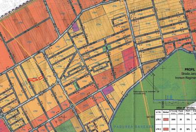 Pădurea Băneasa - 4