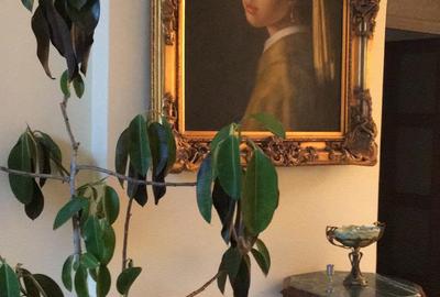 Ultracentral,vila S+P+E,faleza Dunarii,langa parc,Primaria Corabia,teren=1137mp - 10