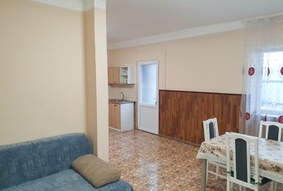Casă P+M cu teren 744 mp în Dumbrava (Timiș) – Zonă excelentă, vizavi de facilit - 5