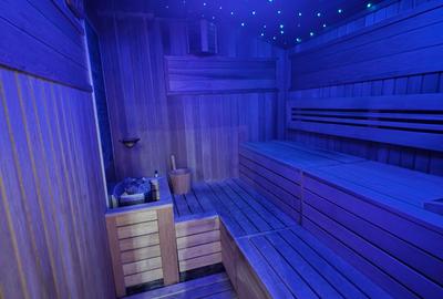 Timpuri Noi, 10 minute metrou, pe Cuza Voda, vila exclusivista P+1+M, lux, - 44