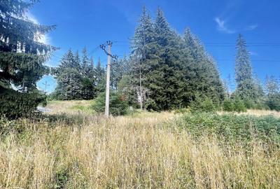 Teren Intravilan Predeal - Acces direct DN - Priveliste deosebita - 26