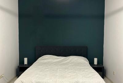 Apartament 2 camere Drumul Taberei - Brancusi - Valea Larga - Bld. Timisoara - 2