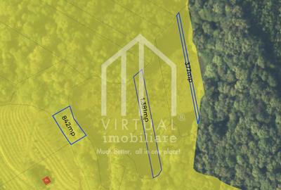 Teren extravilan de vanzare pentru Cabana, Zona Sarba Sura Mare - 3