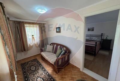 Casa 5 camere Bordeasca Veche - 14