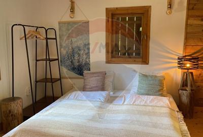 Casă de vacanță deosebită cu ciubăr si saună - natura si relaxare - 13