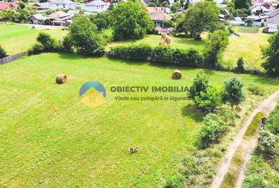 Teren intravilan 1657 mp  sat Stejaru, comuna Pangarati - 5